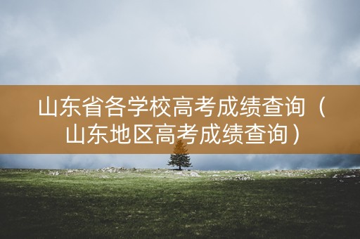 山东省各学校高考成绩查询（山东地区高考成绩查询）