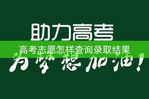 高考志愿怎样查询录取结果
