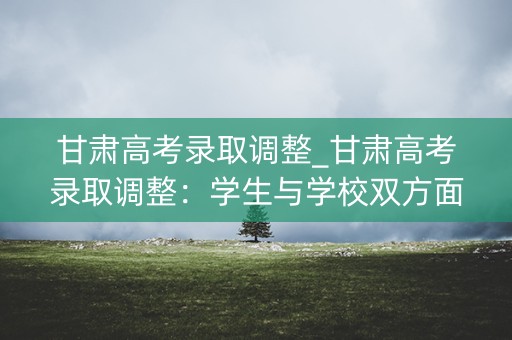 甘肃高考录取调整_甘肃高考录取调整：学生与学校双方面的挑战