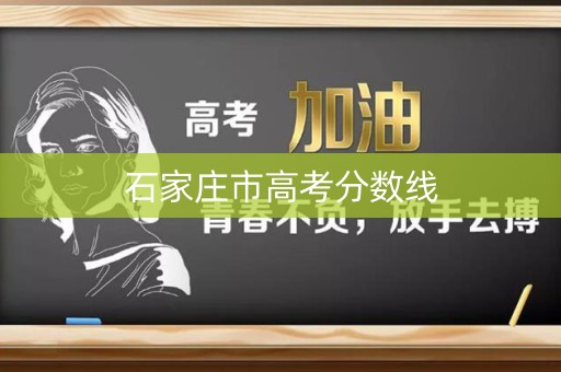 石家庄市高考分数线