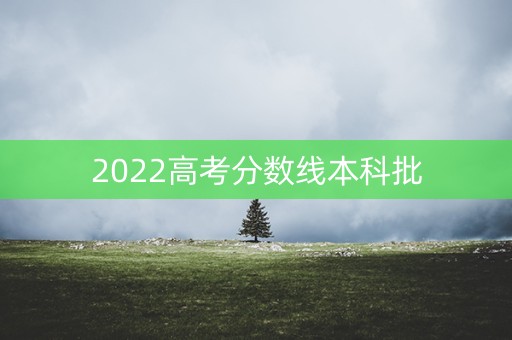 2022高考分数线本科批