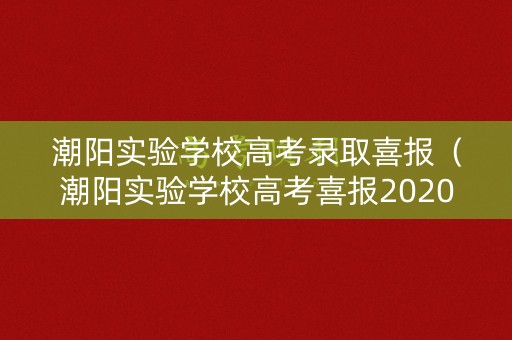 潮阳实验学校高考录取喜报（潮阳实验学校高考喜报2020）