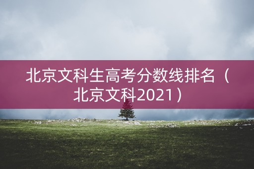 北京文科生高考分数线排名（北京文科2021）