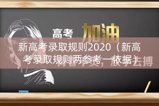 新高考录取规则2020（新高考录取规则两参考一依据）