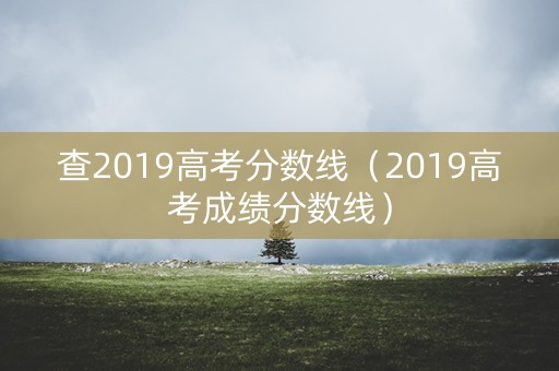 查2019高考分数线（2019高考成绩分数线）