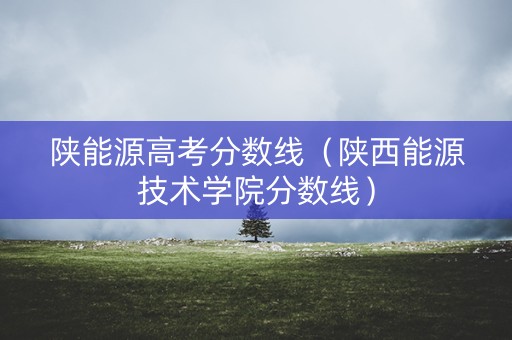 陕能源高考分数线（陕西能源技术学院分数线）