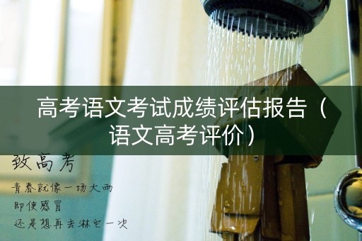 高考语文考试成绩评估报告（语文高考评价）