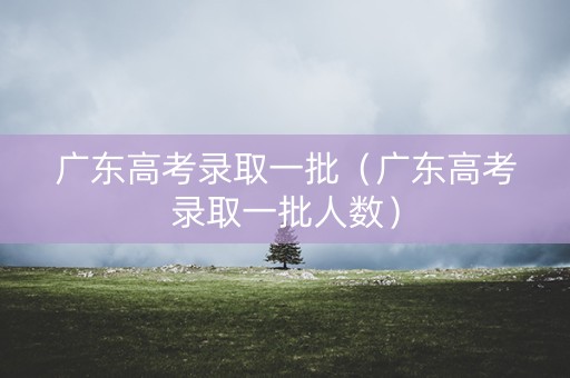 广东高考录取一批（广东高考录取一批人数）