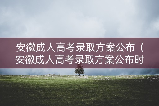 安徽成人高考录取方案公布（安徽成人高考录取方案公布时间）