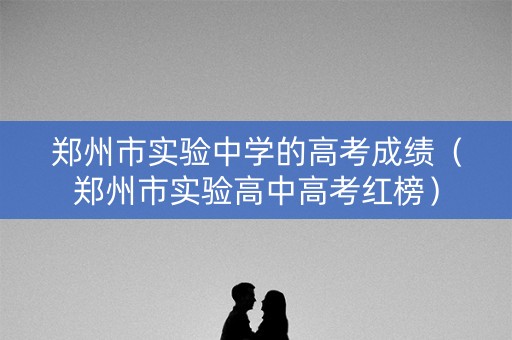 郑州市实验中学的高考成绩（郑州市实验高中高考红榜）