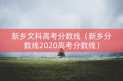 新乡文科高考分数线（新乡分数线2020高考分数线）