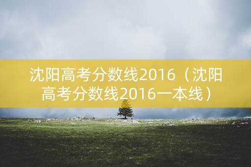 沈阳高考分数线2016（沈阳高考分数线2016一本线）