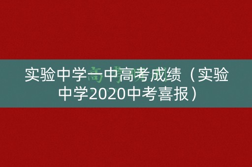 实验中学一中高考成绩（实验中学2020中考喜报）