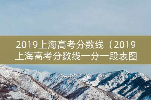 2019上海高考分数线（2019上海高考分数线一分一段表图片）