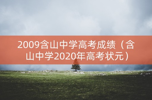 2009含山中学高考成绩（含山中学2020年高考状元）