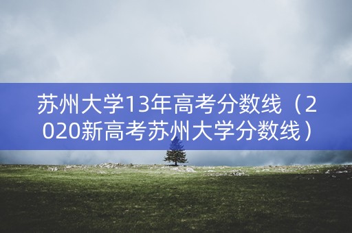 苏州大学13年高考分数线（2020新高考苏州大学分数线）