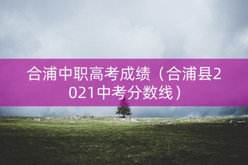 合浦中职高考成绩（合浦县2021中考分数线）