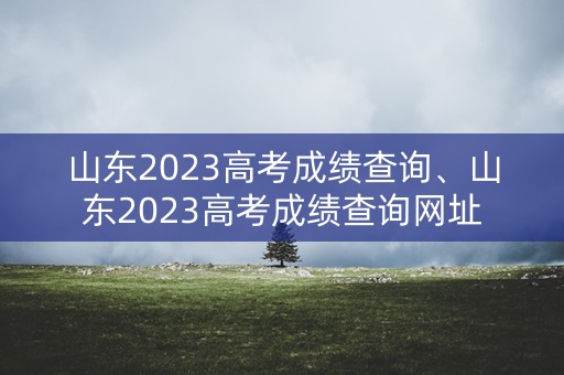 山东2023高考成绩查询、山东2023高考成绩查询网址