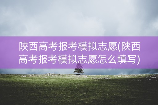 陕西高考报考模拟志愿(陕西高考报考模拟志愿怎么填写)
