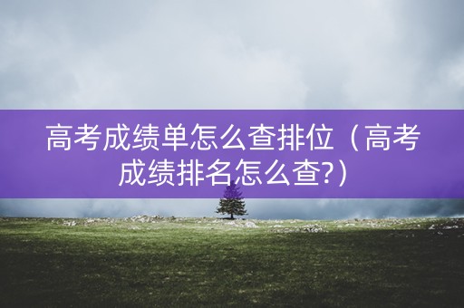 高考成绩单怎么查排位（高考成绩排名怎么查?）