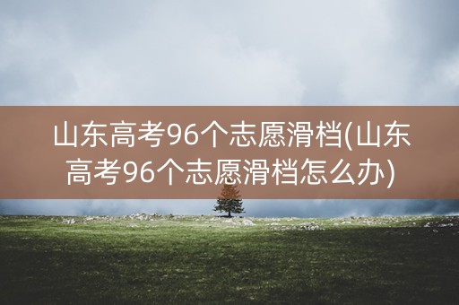 山东高考96个志愿滑档(山东高考96个志愿滑档怎么办)