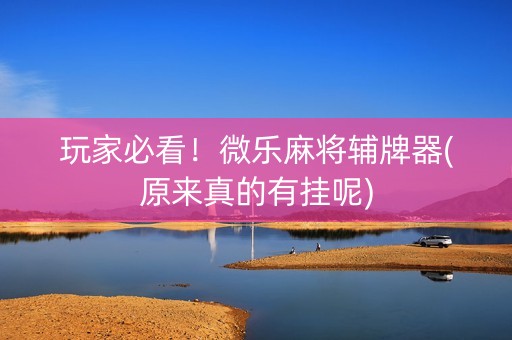 玩家必看！微乐麻将辅牌器(原来真的有挂呢)