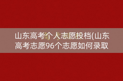 山东高考个人志愿投档(山东高考志愿96个志愿如何录取)