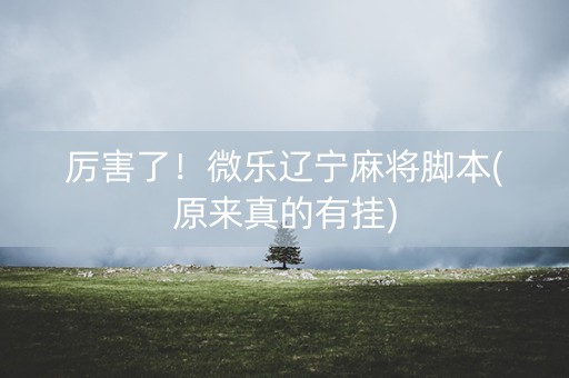 厉害了！微乐辽宁麻将脚本(原来真的有挂)