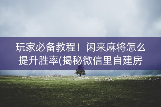 玩家必备教程！闲来麻将怎么提升胜率(揭秘微信里自建房怎么赢)