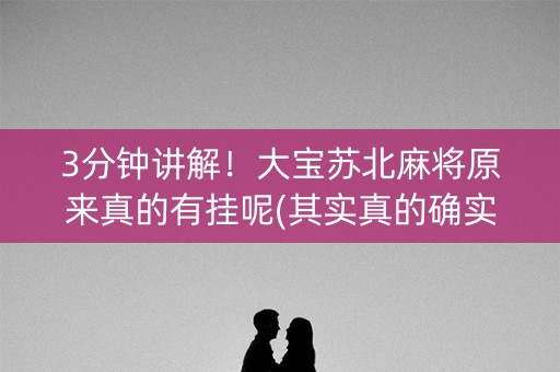 3分钟讲解！大宝苏北麻将原来真的有挂呢(其实真的确实有挂)