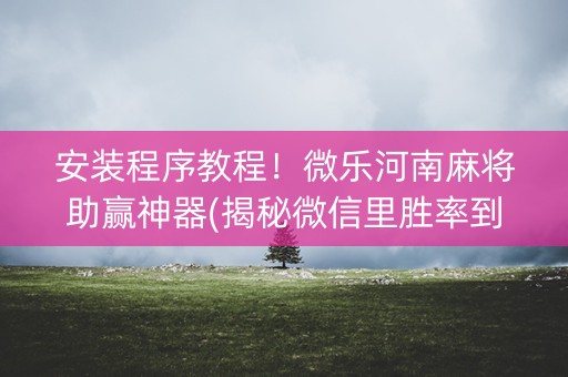 安装程序教程！微乐河南麻将助赢神器(揭秘微信里胜率到哪调)