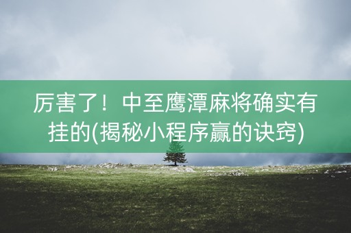 厉害了！中至鹰潭麻将确实有挂的(揭秘小程序赢的诀窍)