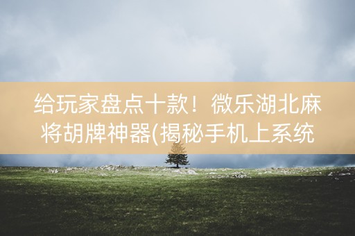 给玩家盘点十款！微乐湖北麻将胡牌神器(揭秘手机上系统发好牌)