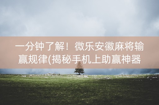 一分钟了解！微乐安徽麻将输赢规律(揭秘手机上助赢神器购买)