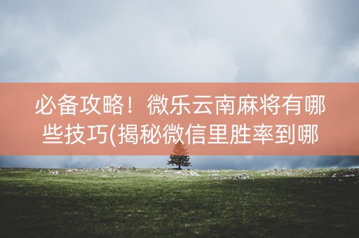 必备攻略！微乐云南麻将有哪些技巧(揭秘微信里胜率到哪调)