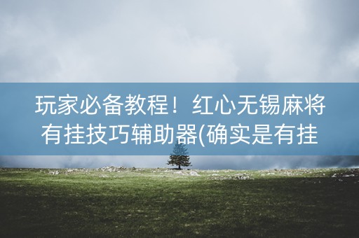 玩家必备教程！红心无锡麻将有挂技巧辅助器(确实是有挂)
