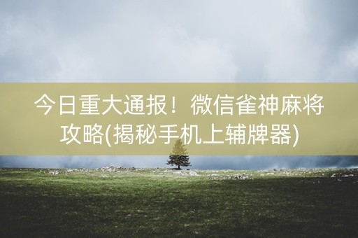 今日重大通报！微信雀神麻将攻略(揭秘手机上辅牌器)