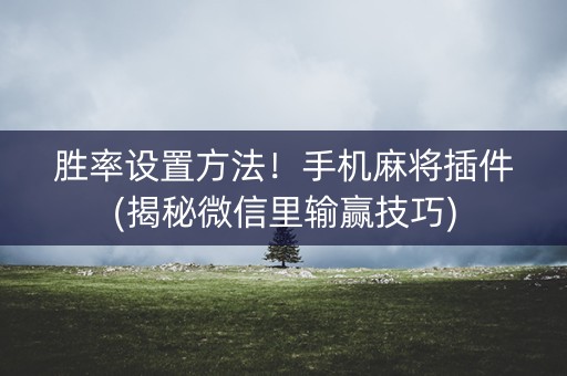 胜率设置方法！手机麻将插件(揭秘微信里输赢技巧)