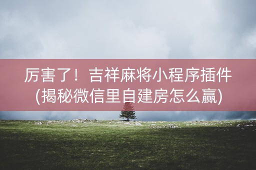 厉害了！吉祥麻将小程序插件(揭秘微信里自建房怎么赢)