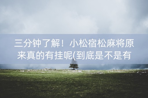 三分钟了解！小松宿松麻将原来真的有挂呢(到底是不是有挂)