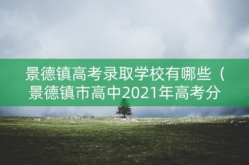 景德镇高考录取学校有哪些（景德镇市高中2021年高考分数）