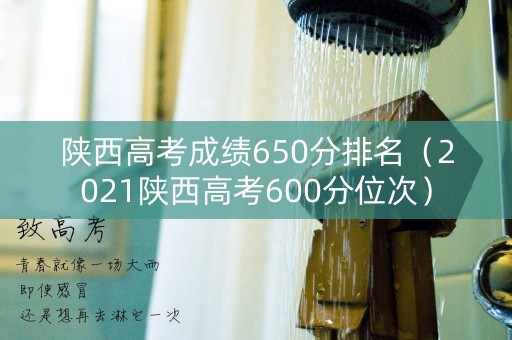 陕西高考成绩650分排名（2021陕西高考600分位次）