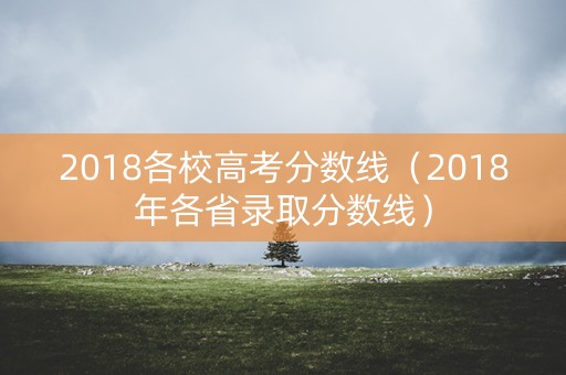 2018各校高考分数线（2018年各省录取分数线）
