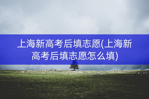 上海新高考后填志愿(上海新高考后填志愿怎么填)