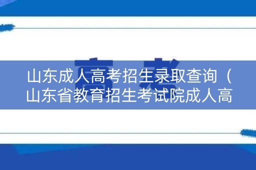 山东成人高考招生录取查询（山东省教育招生考试院成人高考录取查询）