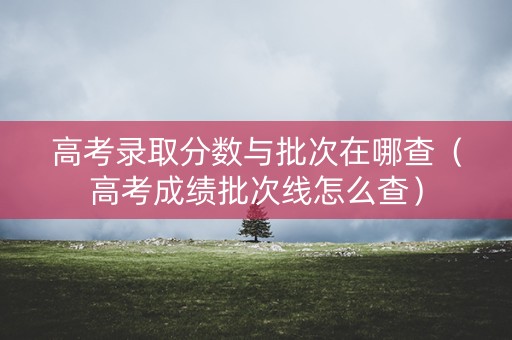 高考录取分数与批次在哪查（高考成绩批次线怎么查）