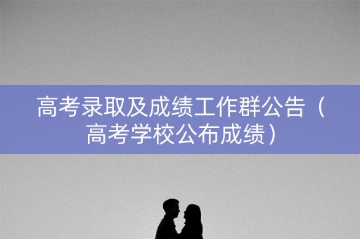 高考录取及成绩工作群公告（高考学校公布成绩）