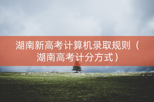 湖南新高考计算机录取规则（湖南高考计分方式）