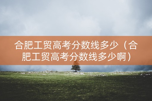 合肥工贸高考分数线多少（合肥工贸高考分数线多少啊）