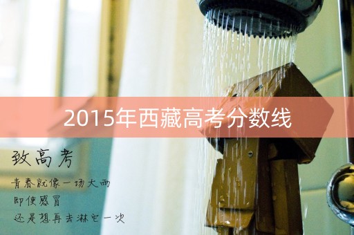 2015年西藏高考分数线